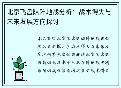 北京飞盘队阵地战分析：战术得失与未来发展方向探讨